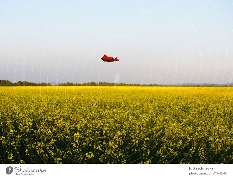 Known Flying Object Colour photo Exterior shot Deserted Copy Space left Copy Space right Copy Space top Copy Space bottom Day Sunlight Harmonious Summer
