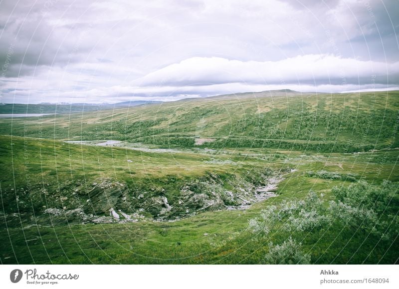 The High North XVII Nature Landscape Mountain Brook Wild Green Colour photo Exterior shot Day Bird's-eye view
