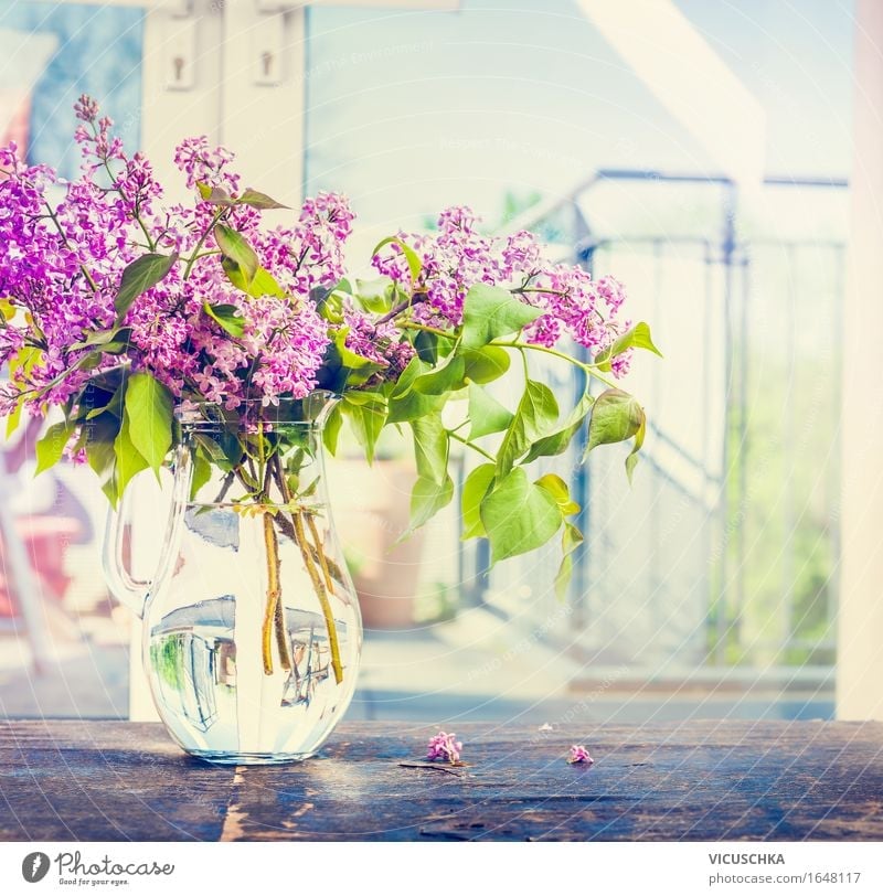 Lilac flower strass in glass vase on the window Lifestyle Style Design Living or residing Garden Interior design Decoration Table Living room Nature Plant
