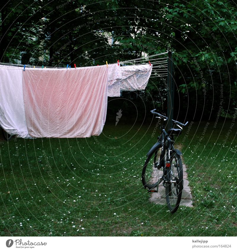 visit of the old lady Living or residing Garden Meadow House (Residential Structure) Sleep Green Bicycle Laundry Dry Clothesline Bedclothes Bicycle frame