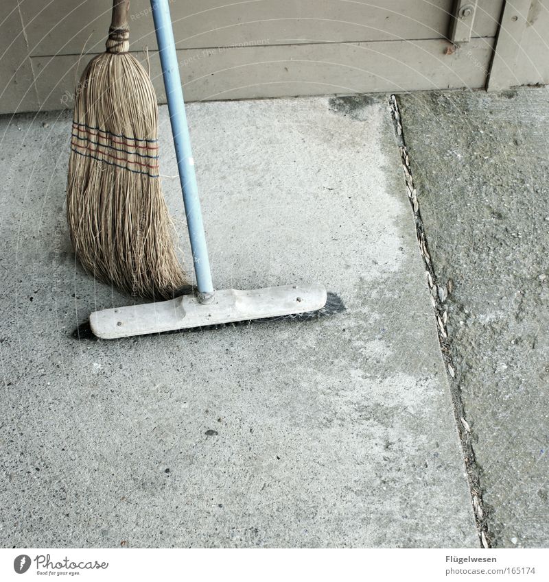 Old broom loves young thing... Colour photo Exterior shot Copy Space right Copy Space bottom Living or residing Gardening Broom Shovel Painter Wall (barrier)