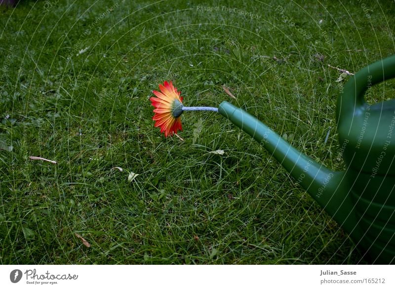 watering can Environment Nature Plant Elements Earth Spring Climate Climate change Garden Meadow Watering can Colour photo Exterior shot Experimental Deserted