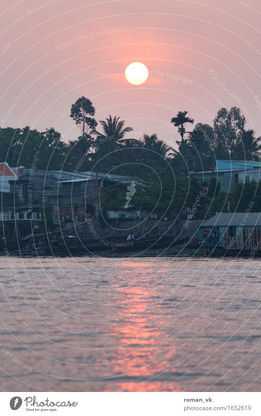 Good Morning Vietnam! Water Moody Sunrise River Dawn Reflection Orange Travel photography Coast Palm tree Dreary Colour photo Exterior shot Copy Space bottom