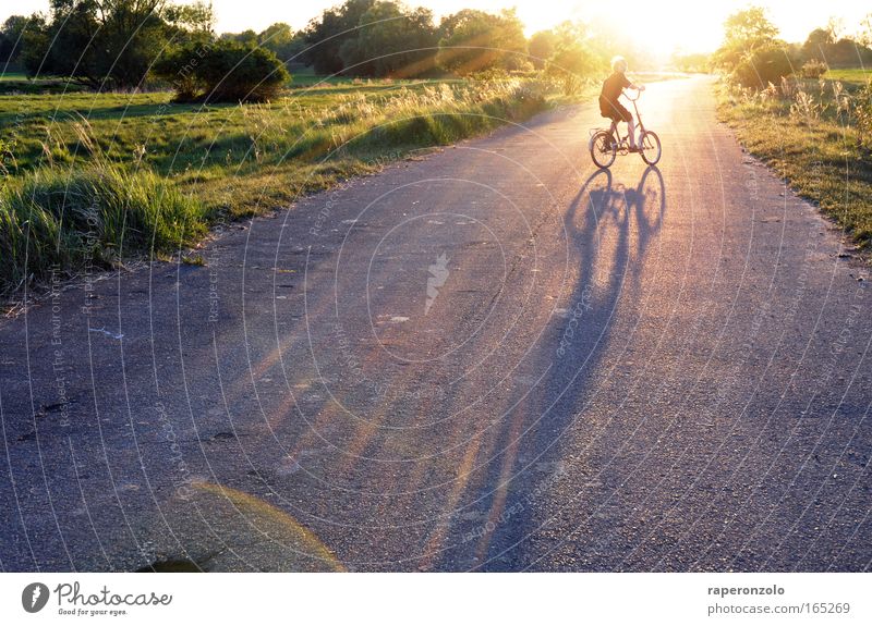 up to the sun! Human being Youth (Young adults) 1 8 - 13 years Child Infancy Nature Sunlight Beautiful weather Field Cycling Street Relaxation Driving