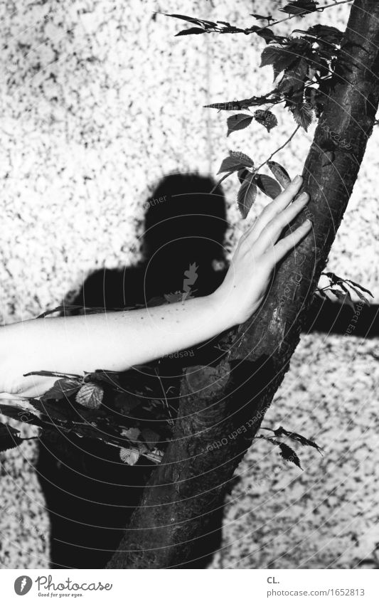 hand on tree Human being Feminine Woman Adults Life Arm Hand Fingers 1 Environment Nature Tree Wall (barrier) Wall (building) To hold on Black & white photo