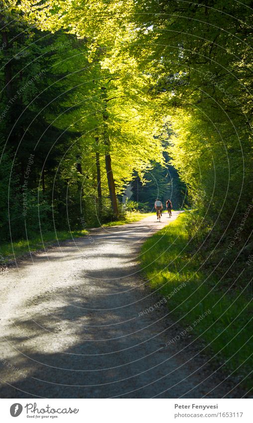 light tunnel Relaxation Cycling Cycling tour Bicycle Couple 2 Human being Environment Nature Landscape Forest Driving Beautiful Yellow Green Moody Dream Calm