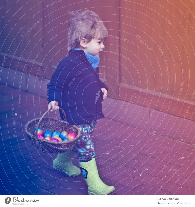egg hunt Human being Masculine Child Toddler Boy (child) Infancy 1 1 - 3 years Rubber boots To hold on Authentic Happiness Happy Joy Contentment Success