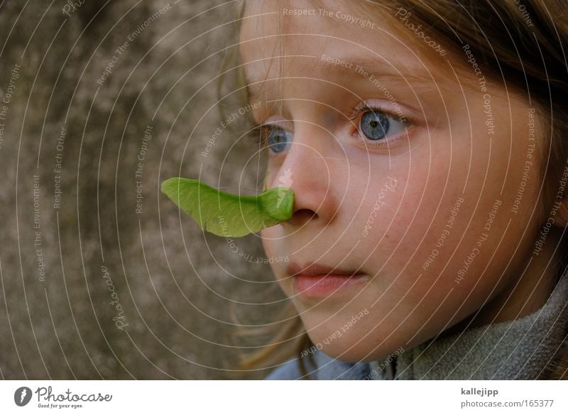 2300_a child's play Day Playing Girl Infancy Life Nose 1 Human being 3 - 8 years Child Environment Nature Plant Animal Fresh Sustainability Natural Curiosity