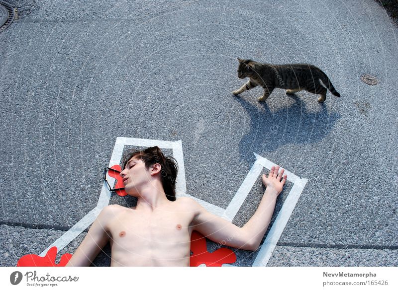 kitten as murderer Colour photo Exterior shot Day Bird's-eye view Masculine Young man Youth (Young adults) Skin Hair and hairstyles Street Eyeglasses Cat Dream