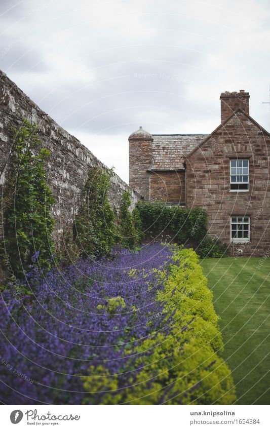 Half and half Scotland Great Britain Garden Garden Bed (Horticulture) Flowerbed Architecture dwell English weather Apartment Building Wall (barrier) Planting