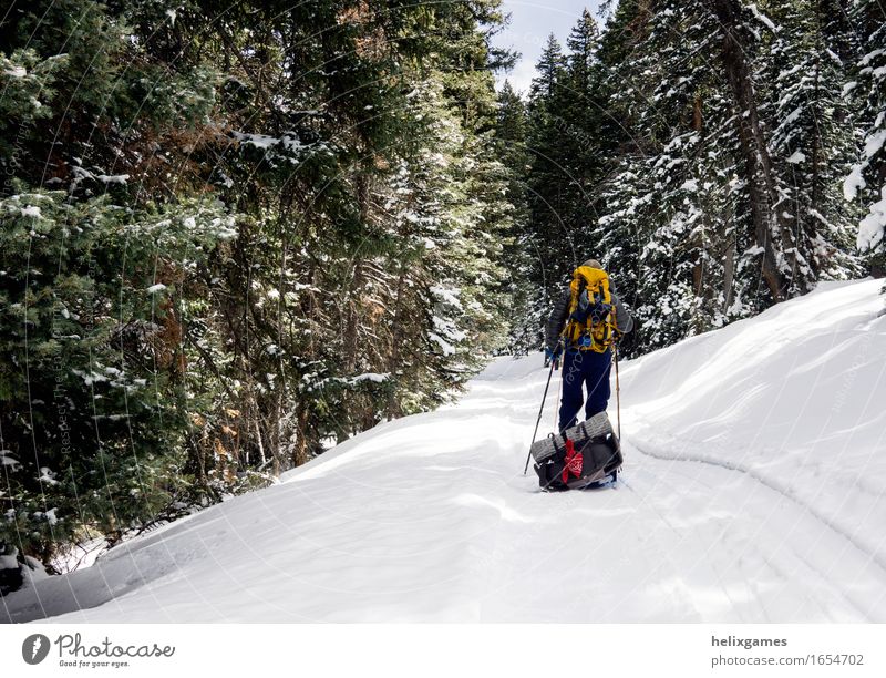 A ski in the woods Life Leisure and hobbies Skiing Hiking Sports Fitness Sports Training Sportsperson Masculine Body 1 Human being Adventure La Sal Mountains
