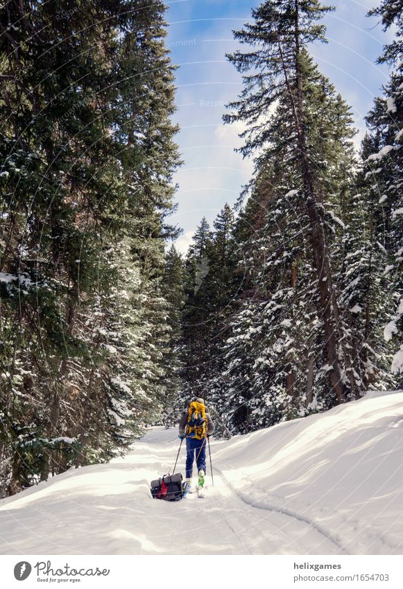 winter trail Hiking Skiing Man Adults 1 Human being 18 - 30 years Youth (Young adults) Nature Sky Winter Tree Mountain Walking La Sal Mountains Utah Moab sled