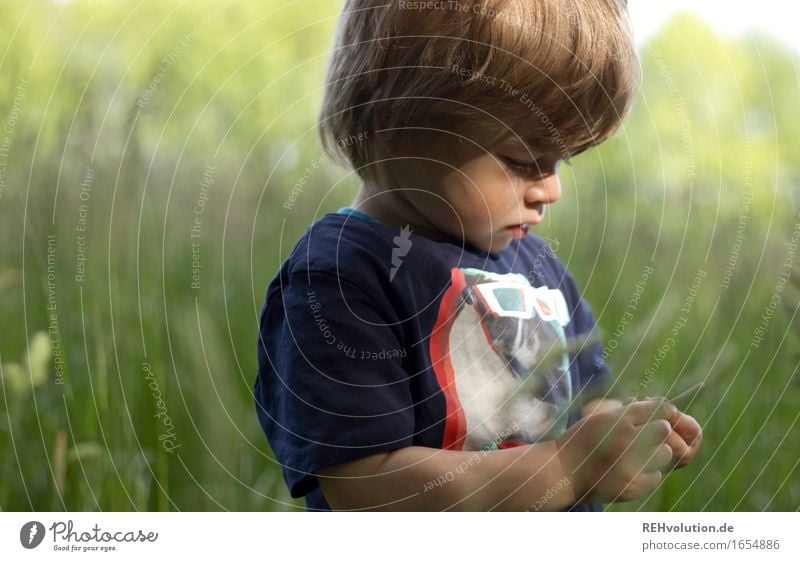 intensive observation Trip Freedom Human being Masculine Child Toddler Boy (child) 1 1 - 3 years Environment Nature Landscape Summer Grass Meadow Field Discover