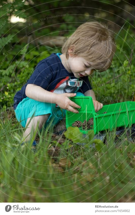 dump truck Human being Masculine Child Toddler Boy (child) 1 1 - 3 years Environment Nature Plant Summer Forest Playing Small Curiosity Green Joy Happy
