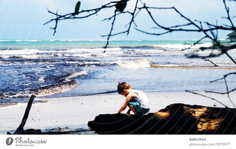 when dreams learn to fly Vacation & Travel Tourism Trip Adventure Far-off places Freedom Boy (child) Infancy Nature Landscape Sky Summer Waves Coast Beach Ocean