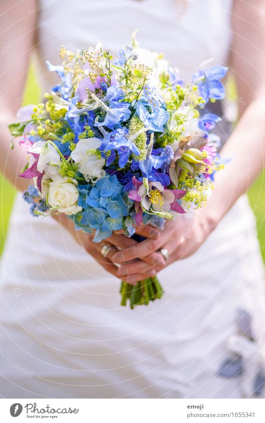 bouquet Feasts & Celebrations Wedding Plant Spring Flower Fresh Natural Bouquet Colour photo Multicoloured Close-up Day Shallow depth of field