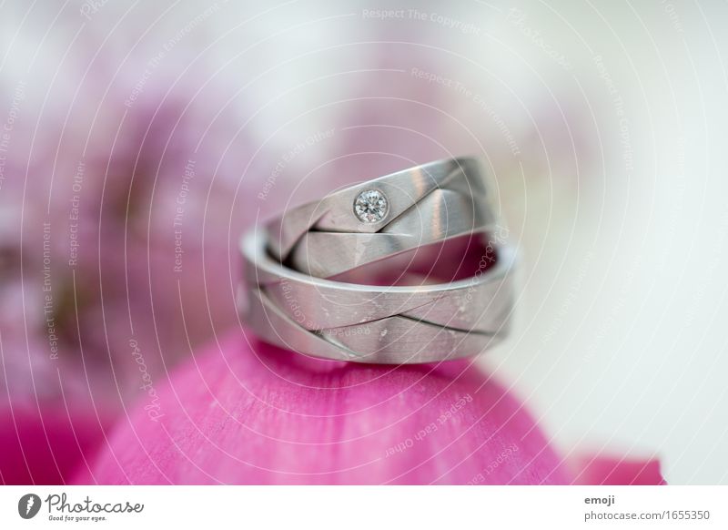 rings Accessory Jewellery Ring Wedding band Diamond Kitsch Odds and ends Love Future Colour photo Close-up Macro (Extreme close-up) Deserted Day