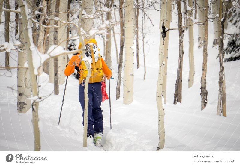 Winter hike through the aspens Vacation & Travel Adventure Snow Mountain Sports Climbing Mountaineering Skiing Human being Adults 1 18 - 30 years