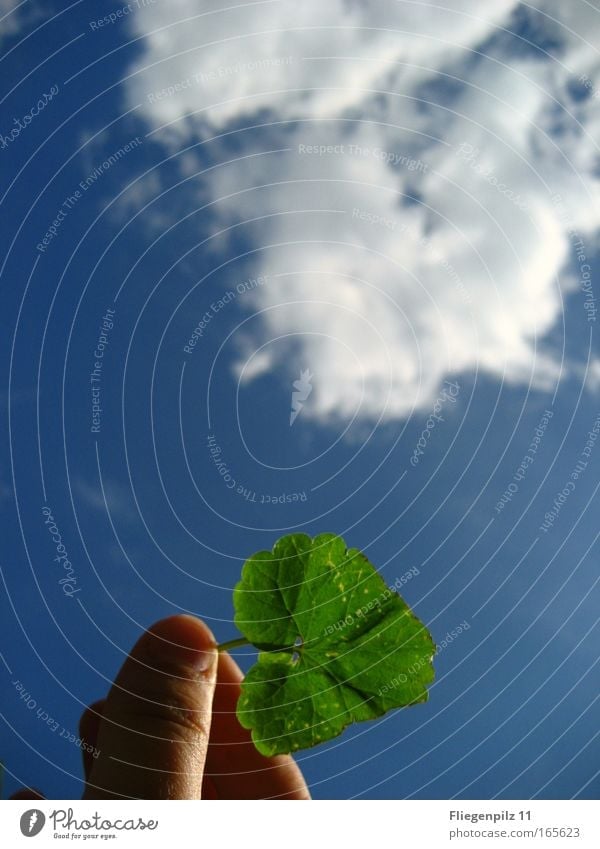 celestial leaf Hand Fingers Environment Nature Air Sky Clouds Sunlight Beautiful weather Plant Foliage plant Touch Simple Bright Above Round Blue Green Colour