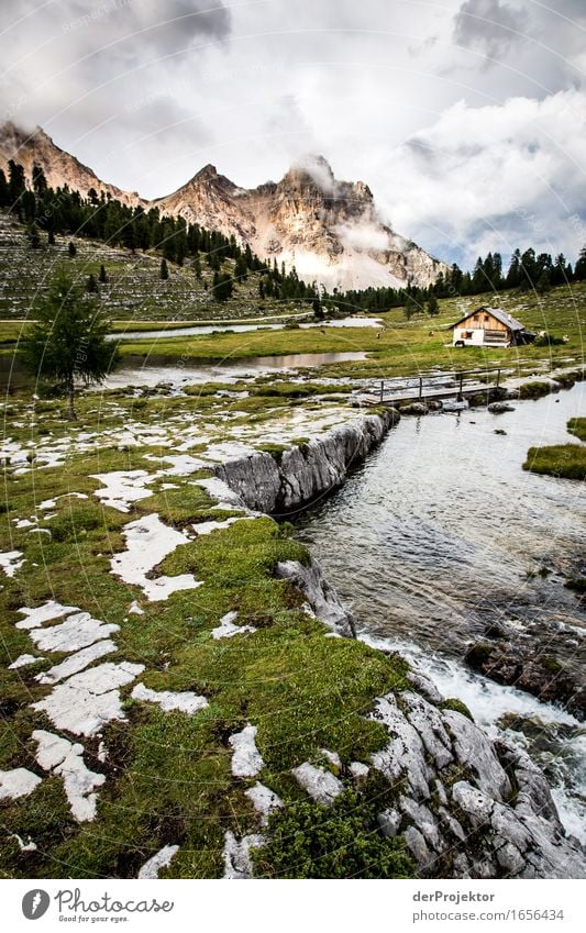 Hut with stream on alpine pasture in the Dolomites Central perspective Deep depth of field Sunbeam Sunlight Light (Natural Phenomenon) Silhouette Contrast