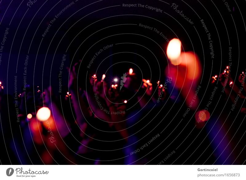 concert Art Event Shows Music Concert Fan Dark Euphoria Romance Moody Lighter Song Colour photo Subdued colour Interior shot Copy Space top Night Shadow