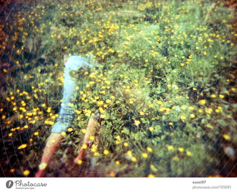 400- Ghost Colour photo Lomography Holga Copy Space right Sunlight Motion blur Rear view Forward Woman Adults Bottom Legs Feet 1 Human being Meadow Jeans
