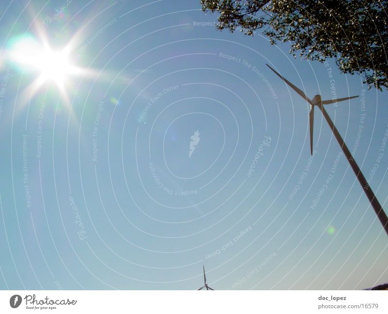 the_sun_against_2 Tree Dazzle Moody Back-light Hissing Sun Wind energy plant Sky Landscape generate alternative energy