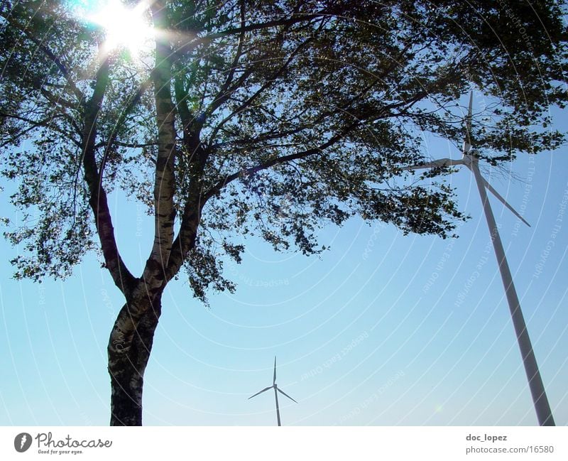 the_sun_against_1 Tree Dazzle Moody Back-light Hissing Sun Wind energy plant Sky Landscape generate alternative energy