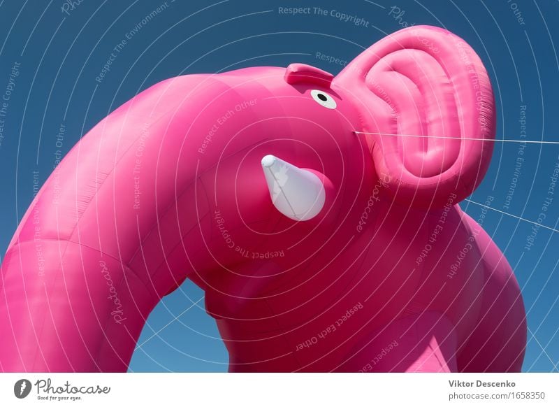 Inflatable pink elephant with white tusks Design Joy Happy Beautiful Decoration Feasts & Celebrations Birthday Balloon Heart Flying Smiling Love Happiness Blue