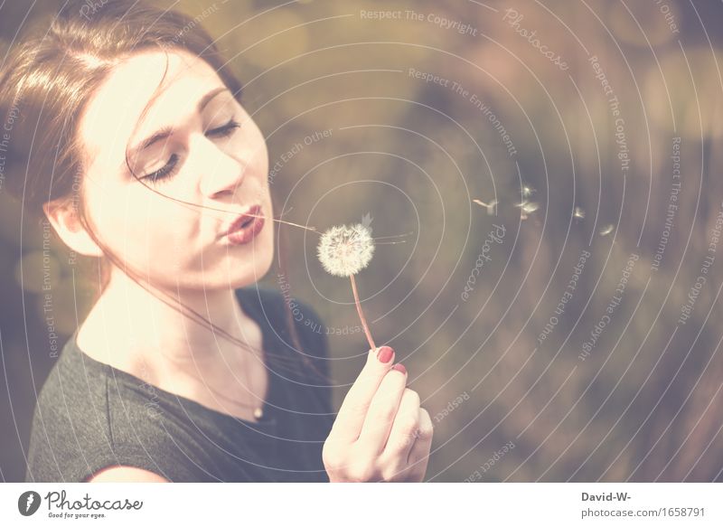 pretty woman blowing on a dandelion Woman youthful Summer Sunlight sunshine Flying Hover Nature Natural phenomenon