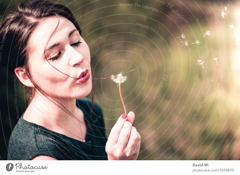 young woman blows on a dandelion Spring Summer Flower Joy Joie de vivre (Vitality) pretty Nature Love of nature Weightlessness Sámen