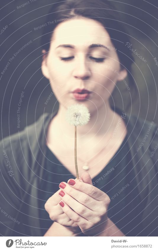 dandelion Life Harmonious Well-being Contentment Senses Relaxation Calm Freedom Summer Summer vacation Sun Human being Feminine Young woman Youth (Young adults)