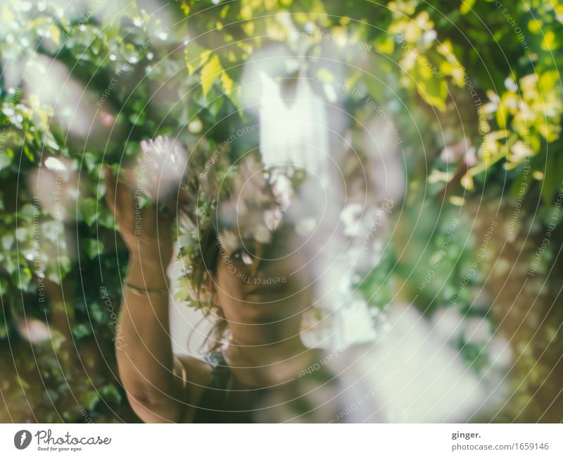 AST 9 | Flower child Human being Feminine Woman Adults Life Head Chest Arm 1 45 - 60 years Throw lensbaby Blossom Upper body Bushes Blossom leave Tall Adorned