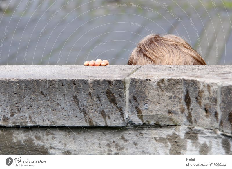 AST 9 | at the fountain Human being Toddler Head Hair and hairstyles Hand Fingers 1 1 - 3 years Well Stone To hold on Stand Authentic Uniqueness Small Brown