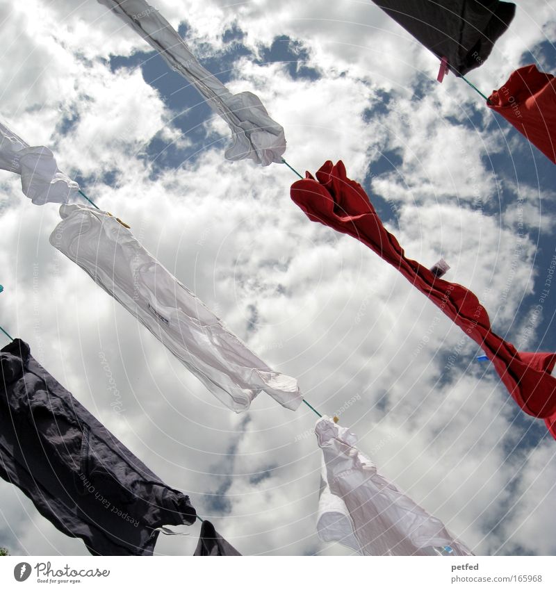 sky wash Sky Clouds Clothing T-shirt Hang Blue Red White Colour photo Exterior shot Deserted Day Worm's-eye view Upward