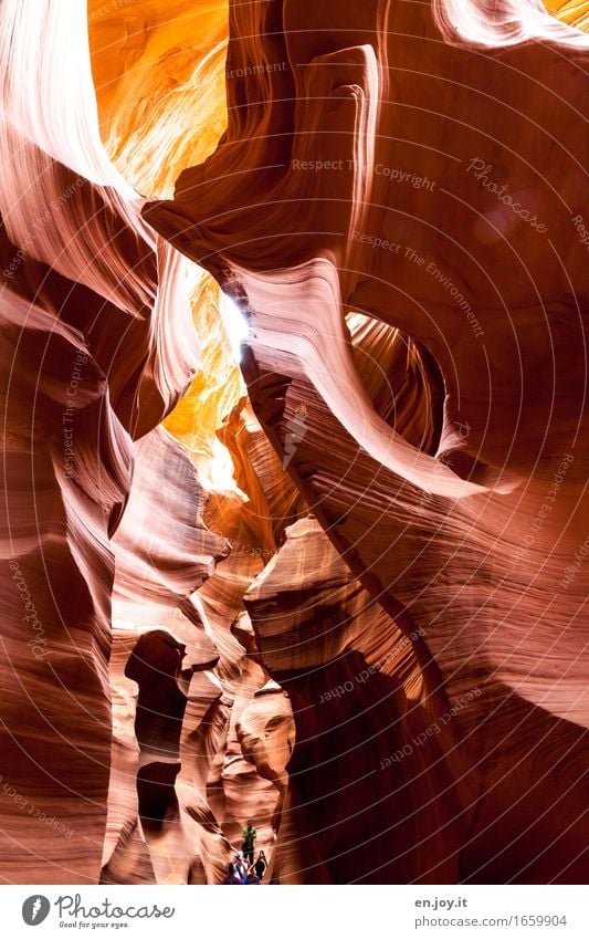 Insights Vacation & Travel Tourism Adventure Human being 3 Nature Rock Canyon Antelope Canyon Exceptional Fantastic Gigantic Orange Enthusiasm Surprise