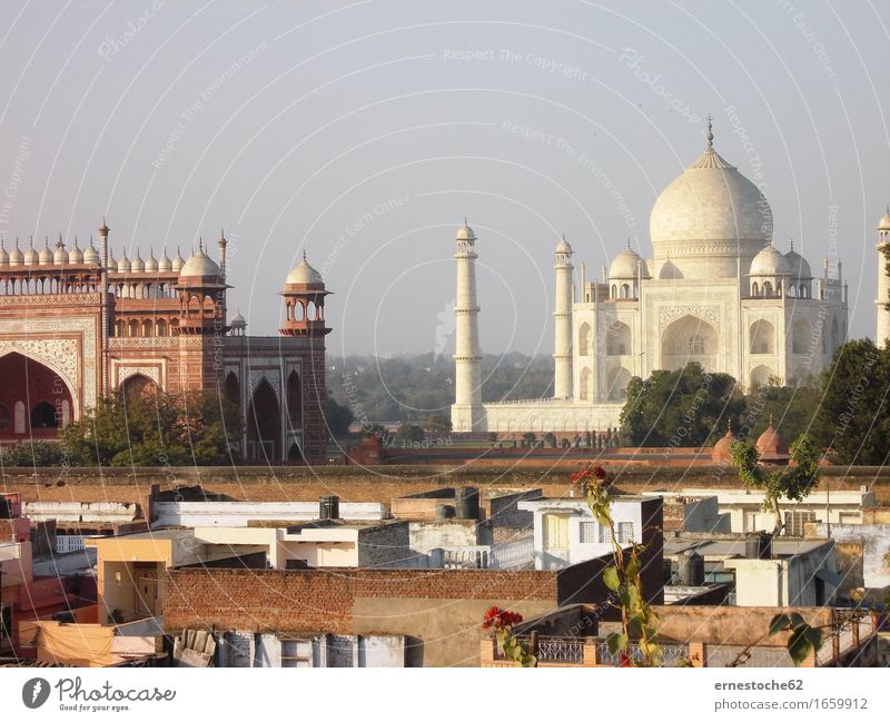 View of the Taj Mahal Agra India Asia Palace Tourist Attraction Landmark Meditation Tomb Marble White Temple Love Architecture mogul Grand Mogul Northern India