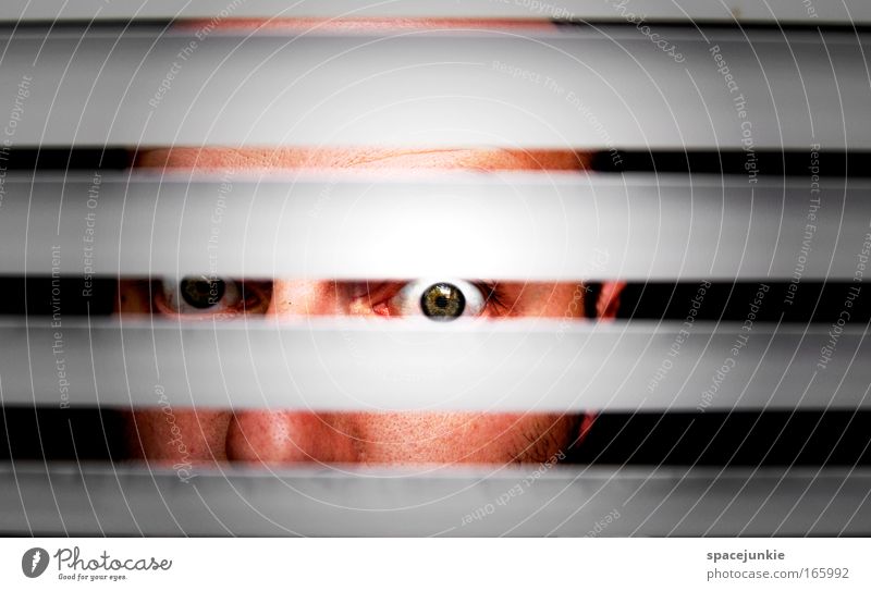 stripes Colour photo Copy Space top Contrast Looking Looking into the camera Face Man Adults Head Eyes 1 Human being Observe Discover Threat Curiosity Crazy