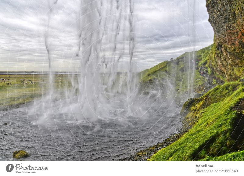 Seljalandsfoss, Iceland Nature Landscape Elements Water Waterfall Brown Green White Exterior shot Deserted Copy Space left Copy Space top Day