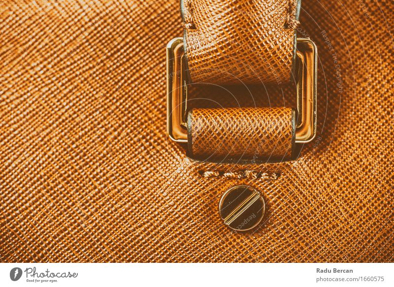 Brown Leather Woman Bag Closeup Lifestyle Luxury Elegant Style Design Fashion Clothing Accessory Feminine Success Colour Beautiful woman bag Consistency