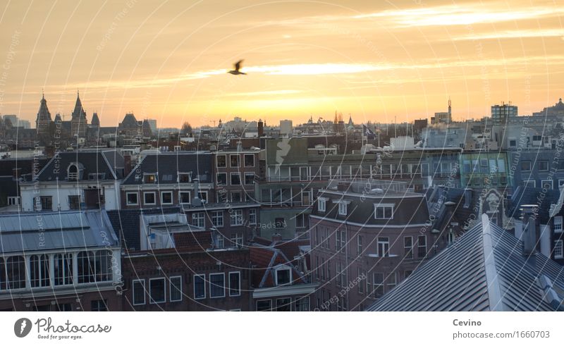 Amsterdam V Nature Landscape Sun Sunrise Sunset Winter Beautiful weather Netherlands Europe Town Capital city Downtown Old town House (Residential Structure)