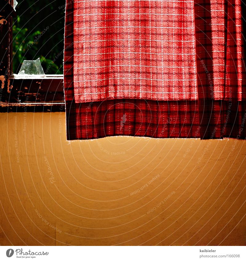 Without gold edge Colour photo Deserted Day Light Shadow Sunlight Back-light Living or residing Flat (apartment) Interior design Curtain Wallpaper Window