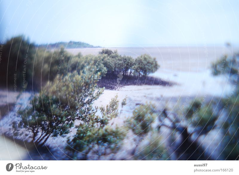 aussi landscape Colour photo Exterior shot Experimental Deserted Copy Space top Day Blur Wide angle Environment Nature Plant Earth Sand Sky Summer