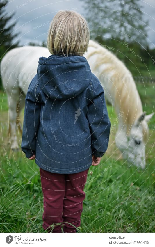 White Horse Joy Happy Leisure and hobbies Vacation & Travel Tourism Trip Summer Summer vacation Ride Child Toddler Family & Relations 1 Human being Environment
