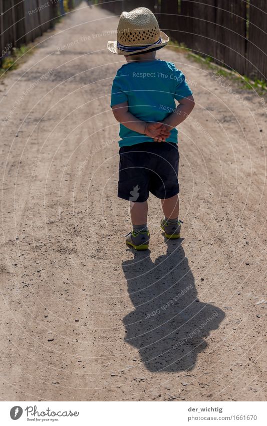 go have a look Hiking Human being Masculine Child Boy (child) 1 1 - 3 years Toddler Sun Summer Beautiful weather Lanes & trails Footwear Hat Fence Going Walking