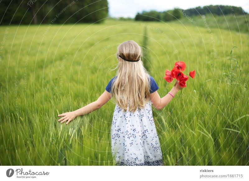 wander the field Human being Feminine Child Girl Infancy 1 3 - 8 years Environment Nature Spring Summer Beautiful weather Plant Flower Poppy Field Discover