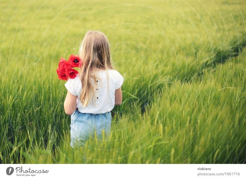 poppy day Human being Feminine Child Girl Infancy 1 3 - 8 years Environment Nature Landscape Spring Summer Beautiful weather Plant Flower Poppy Field Discover