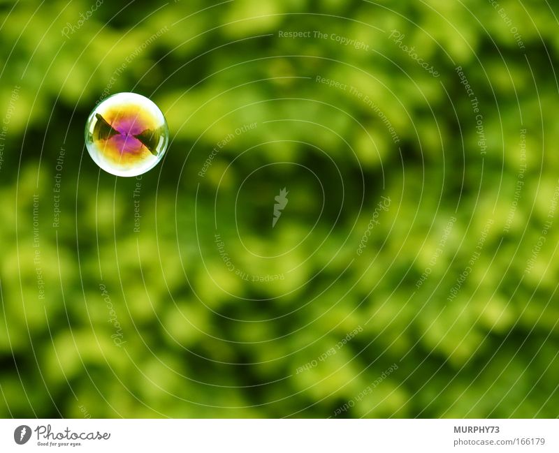 Magic flying eye???? Colour photo Multicoloured Exterior shot Abstract Deserted Copy Space right Copy Space top Copy Space bottom Neutral Background Day
