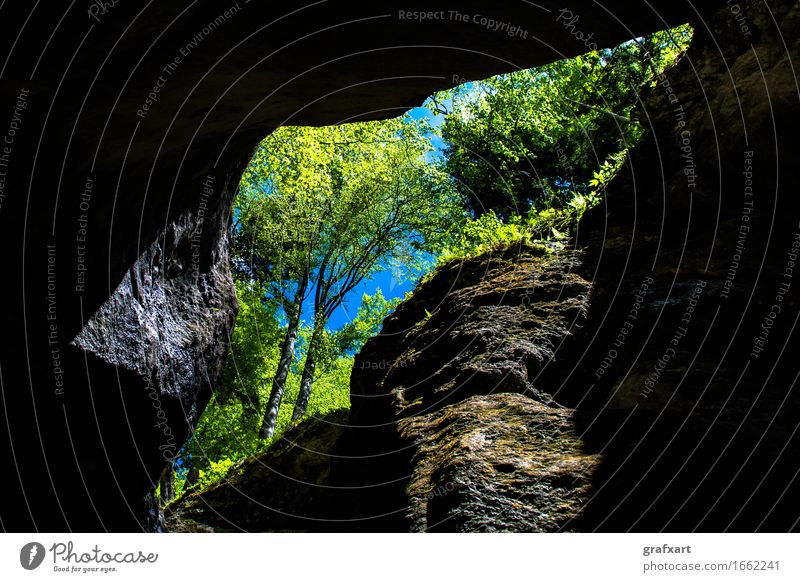 Rocky cave with trees Way out Vantage point Tree Nature Environment Dark Entrance Geology Green Sky Tall Cave Rocky gorge Landscape Opening Portal Canyon Light