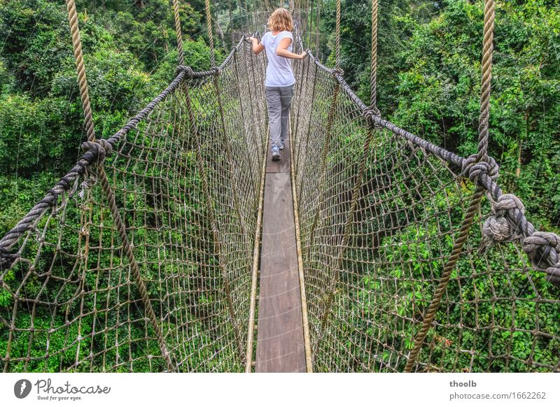 Girl on suspension bridge Vacation & Travel Adventure Rope Feminine Young woman Youth (Young adults) 1 Human being 13 - 18 years Environment Nature Plant Air